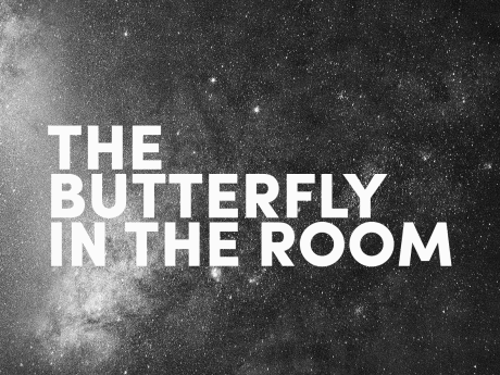 Ein blauer Schmetterling landet auf der Aufschrift "The Butterfly in the Room" und fliegt anschließend links aus dem Bild heraus